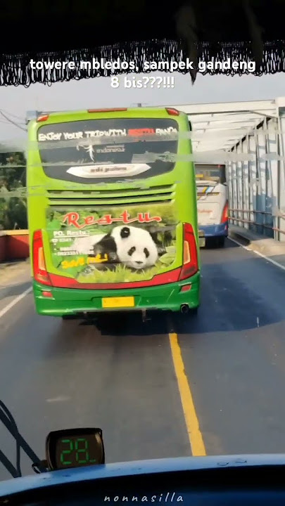 sugeng rahayu vs mira vs restu panda #konvoibus #sumbergroup #restupanda #ekamira