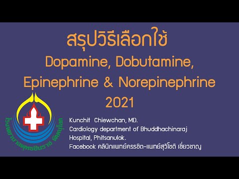 สรุปวิธีเลือกใช้ Dopamine, Dobutamine, Epinephrine & Norepinephrine 2021