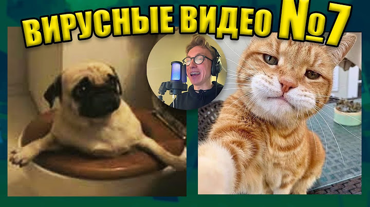 ВИРУСНЫЕ ВИДЕО / Озвучка смешных видео №7