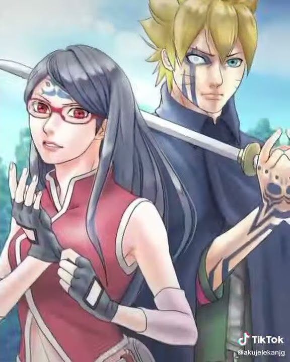 Boruto Dan Sarada story wa