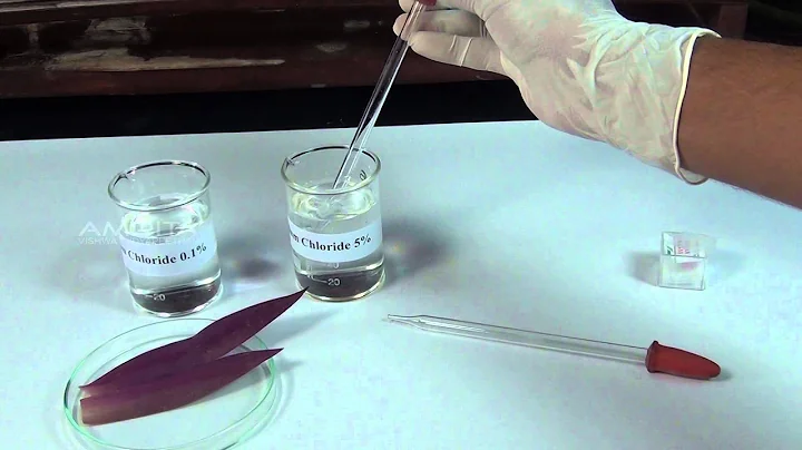 Study of Plasmolysis - MeitY OLabs