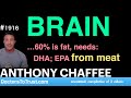 Anthony chaffee   brain 60 is fat needs  dha epa from meat