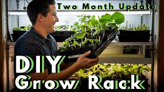 DIY LED Grow Rack Update \& Grow Lights vs Shop Lights