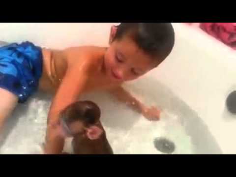 Boy in bath with monkey