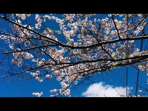 My Movie ლოცვა პარასკევს დილით , ყოველდღიური ლოცვები