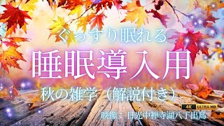 【秋の雑学】眠れる朗読｜日光・中禅寺湖 八丁出島の湖上から｜癒しの紅葉とともに学ぶ“秋の不思議”