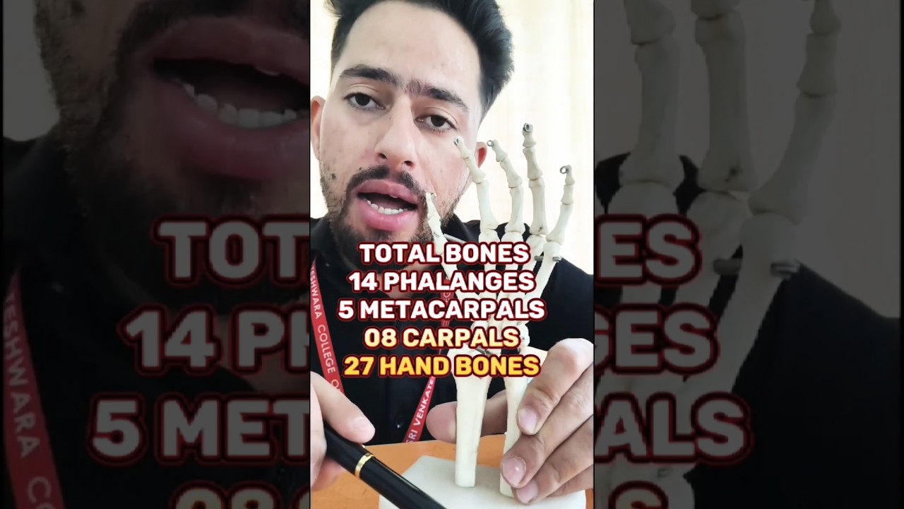 27 Bones in One Hand 🤯 | Human Anatomy 