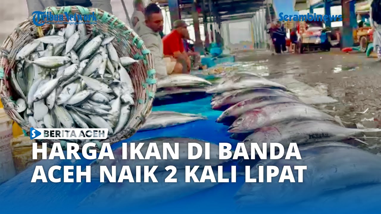 Cuaca Buruk, Harga Ikan di Banda Aceh Naik Dua Kali Lipat