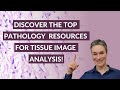 10+Best Pathology Resources for Tissue Image Analysis