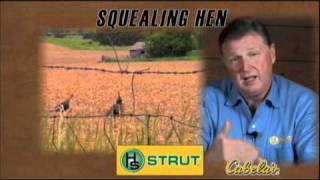 H. S. Strut Squealing Hen Turkey Call