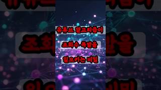 유튜브로 돈벌기 위한 정보 1편#유튜브 #쇼츠 #조회수 #편집 #비밀 #영상 #떡상 #알고리즘