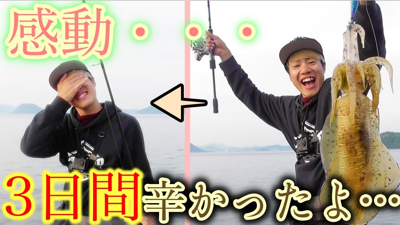 スン君が復活 ダイオウイカかと思った 笑 Youtube