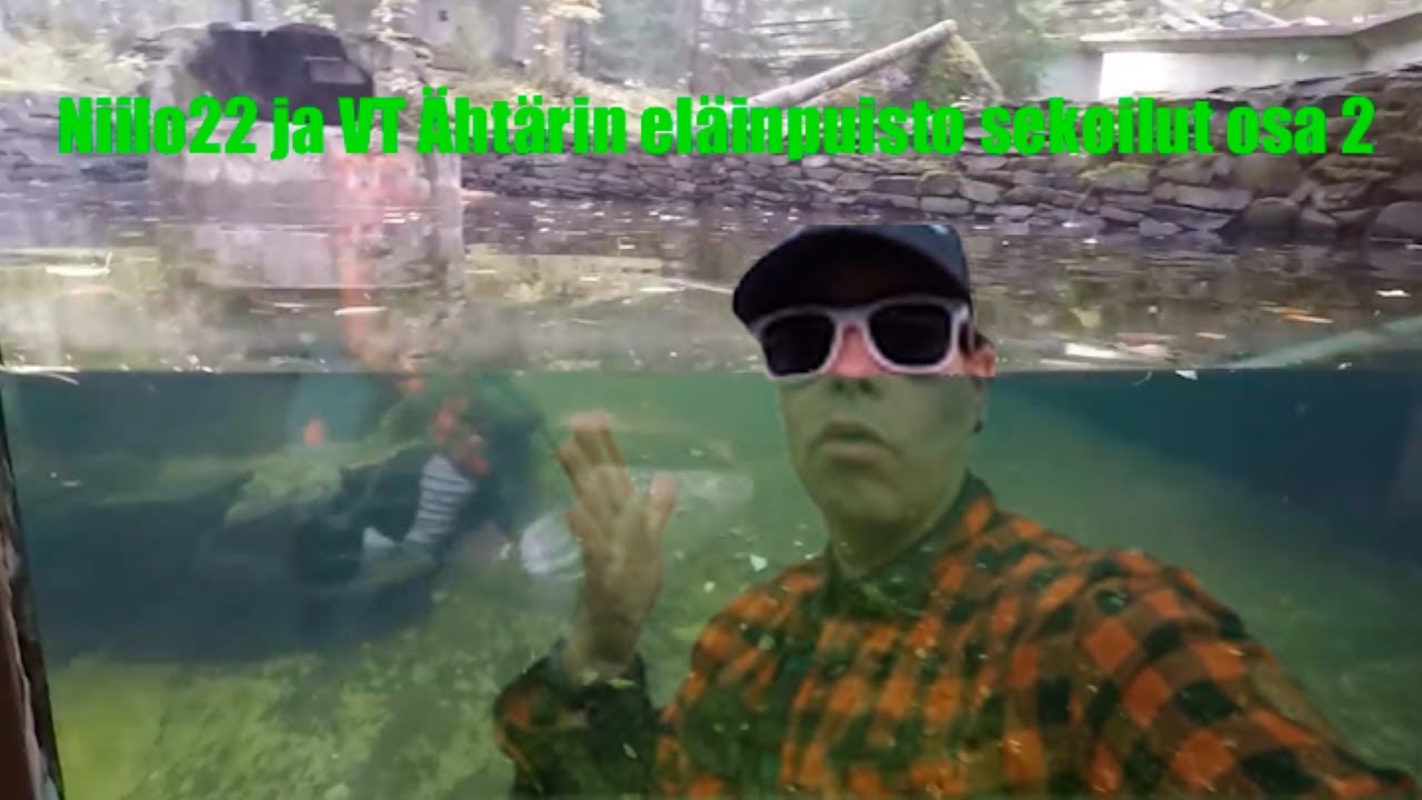 Niilo22 ja VT Ähtärin eläinpuisto sekoilut osa 2