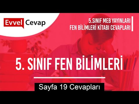 5. Sınıf Fen Bilimleri Ders Kitabı Cevapları Meb Yayınları Sayfa 19