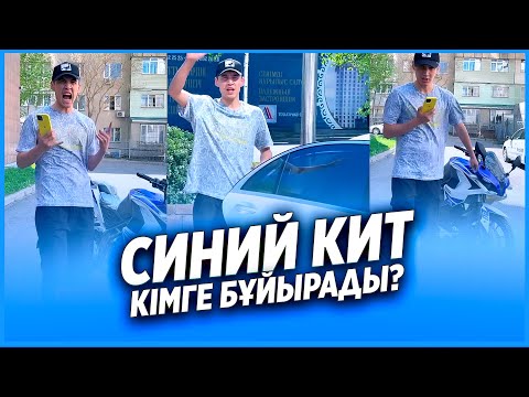 ✅ СИНИЙ КИТ КІМГЕ БҰЙЫРАДЫ 😍 / АЛИШ пен АНЕДЯҒА НЕ БОЛДЫ? / НУРДАУЛЕТ,АХОН,ДИЛЁК,САДР,ГАБА,ШАХИ,АЙЙ