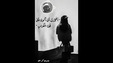 ف ب ع ث الل ه غ ر اب ا ي ب ح ث ف ي ال أ ر ض تلاوة مميزة لسيد سعيد تصميم 18 
