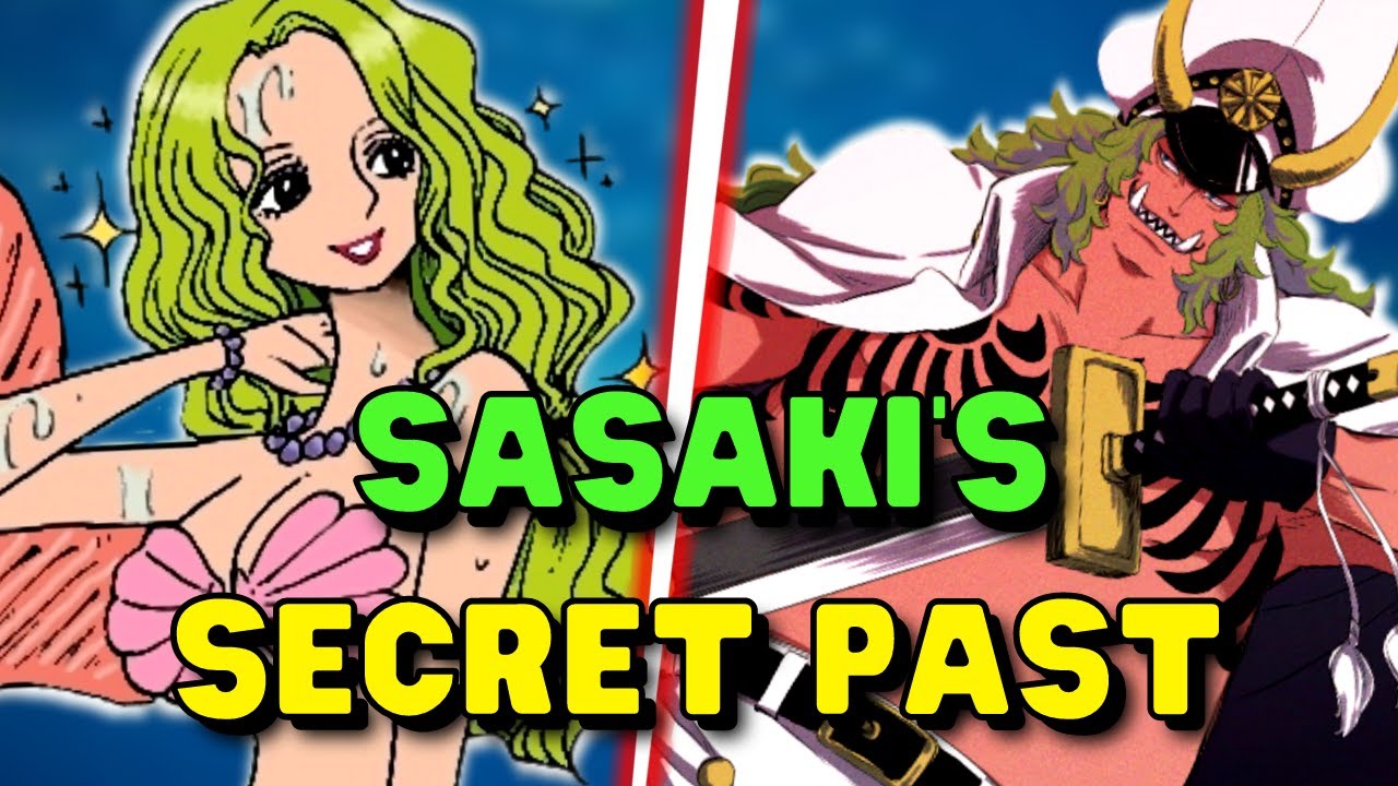 Do We ALREADY Know SASAKI'S PAST? (Kokoro)