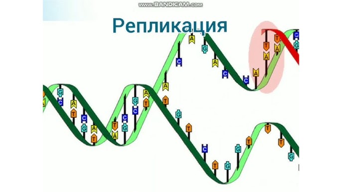 Миссионерлік позицияның үйдегі бейне Миссионерлік позицияның үйдегі бейне