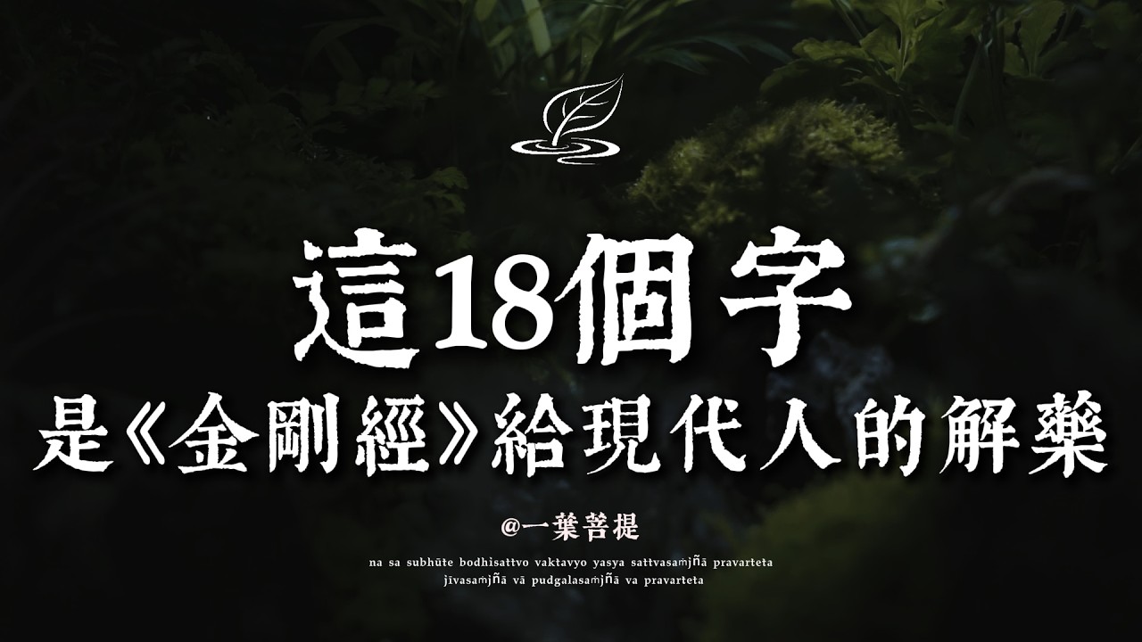 讀懂《金剛經》這18字，你將不再被世俗標籤綁架🍃 一葉菩提 #修行 #國學 #禪 #治癒 #開悟 #佛學