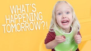 She is Literally SHAKING From Excitement Over This.
Both Ryan and Arianna have their first experiences alone with all three girls, Ryan goes to the Dentist for the first time in 5 years, and Rev is literally SHAKING from excitement over something that is happening the next day.
ARIANNAS CHANNEL ∙ https://youtube.com/ariannapflederer
RYANS CHANNEL ∙ https://youtube.com/uncratedcrowd
FAQ ⤵︎
WHY DID WE START VLOGGING? Our unexpected viral wedding video pushed us to start posting videos more! Arianna started with cover songs and after doing the Husband Tag with Ryan, we were asked to vlog. So we decided to try it and we LOVE it 4 years later. We now post 5 vlogs a week Monday-Friday.
ARIANNA HAD A SERVICE DOG? Arianna had a service dog for 7 years. Levi has now since passed away. Arianna has PTSD (Post Traumatic Stress Disorder) from her child and teen years. Greyson (Grey) is her service dog in training.
CHANNEL NAME CHANGE? Formerly we were ThePflederers then ThePfledPfam. We are forever now, Its Us. Its easier to remember, easier to say, and easier to spell. We feel it truly depicts our channel as well. Its us who are the change in the world. Its us who have control over our story. Authentic vlogs is what we strive for while also showing you guys that it is okay to dream and go against the norm and reach for something bigger.
WHY DID WE MOVE STATES? We used to live in Illinois and moved to North Carolina in September of 2017. We have always talked about moving out of Illinois eventually! As a family we decided that North Carolina seemed like a good fit for us. Ryan found one of his dream job opportunities, and so we moved to NC as soon as the company made him an offer!
ARE YOU A VEGAN FAMILY OR JUST PLANT-BASED? We are plant based. Although Arianna tends to follow a vegan lifestyle outside of food for ethical reasons - we would not say that we are vegan. Our main focus has always been health and eating plant-based. We started eating PB for health reasons and that is still our main reason for not consuming animal products or by-products.
WHERED YOUR PO BOX GO? We so appreciate that you guys took the time to send our family letters and gifts. We had to make the decision to close our PO BOX due to just how amazingly generous you guys are. Being that we promote minimalism, we want to make sure that we as creators are displaying that way of living in every sense. If you wish to send a more personal message that is not public, you can message us on our facebook page :)
GET TO KNOW US VLOGS ➝ http://bit.ly/2gcMyJd
PHONETIC SPELLINGS ⤵︎
Ryan / ry∙in
Arianna / are∙ee∙ah∙nuh
Revelynne / reh∙vuh∙lynn
Aerilee / air∙uh∙lee
Rensly / ren∙zlee
Pflederer / fleh∙dur
Levi / lee∙vye (passed away)
Daisy / day∙zee
Callie / cal∙ee
Greyson / grey∙son
MUSIC INFORMATION ⤵︎
INTRO :
LANDON AUSTIN - READY FOR ANYTHING
LANDON - https://youtube.com/landonaustin
MUSIC VIDEO - https://youtu.be/AkpxlVUB7To
GET THE SONG - http://goo.gl/mqR3u
OTHER MUSIC :
https://epidemicsound.com/
SPONSOR A VLOG⤵︎
SEND TO ∙ arianna@arianna-lynne.com
(business inquiries only) SPONSOR A VLOG⤵︎
SEND TO ∙ arianna(@)seedtotablefarms.com
*please note which social media platform you are interested in Sponsor A Vlog : arianna(at)seedtotablefarms.com She is Literally SHAKING From Excitement Over This.