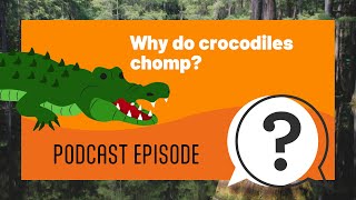 But Why Kids | Why do crocodiles chomp? | Full Podcast Episode