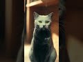 Black cat turns into white cat！黒猫が白猫になっちゃった