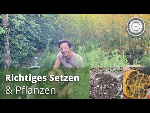 Video: Herbstblühende Pflanzen - Was sind einige Herbstblühende Stauden und Einjährige für Gärten?