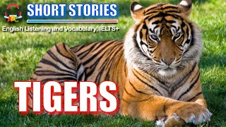 Tigers | Short Stories | IELTS Vocabulary