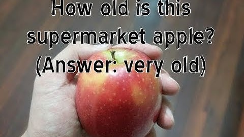 Making Apples Immortal with 1-MCP - Project Intro (Synthesis of MCP)