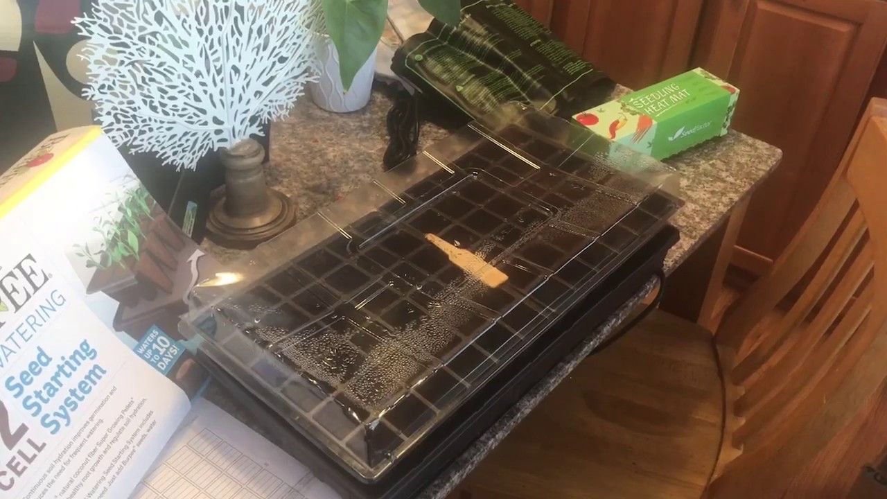 Seed Starting Tray Self Watering 72 Cell By Burpee Indoor Greenhouse Youtube Seed Starting Tray Self Watering 72 Cell By Burpee Indoor Greenhouse Youtube