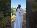 MAGANIN DA ZAKAKAMA BARAWO DA HANNUNKA Arewa Kano Short Viral 