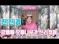 진진경 강한 바람이 불어와 오동나무가 쓰러졌어 大風吹倒梧桐樹 가사 번안 진진경 진진경 강한 바람이 불어와 오동나무가 쓰러졌어 大風吹倒梧桐樹 가사 번안 진진경