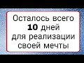 Всего 10 дней осталось для реализации мечты. | Тайна Жрицы |