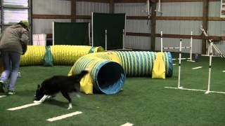 Total Team Series: Turn Back Tunnel