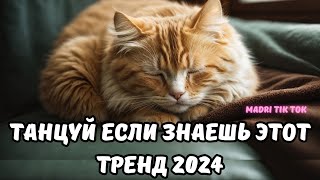 ?ТАНЦУЙ ЕСЛИ ЗНАЕШЬ ЭТОТ ТРЕНД 2024?