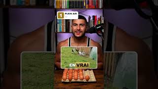 Le code caché sur tes œufs (le 1er chiffre dit TOUT) 🥚