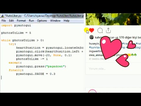 Auto Liker (Python)