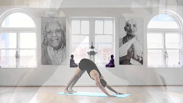 Ashtanga Yoga - Surya Namaskara A