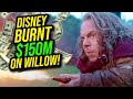 Willow Lost Disney WAY MORE Money Than We Thought...