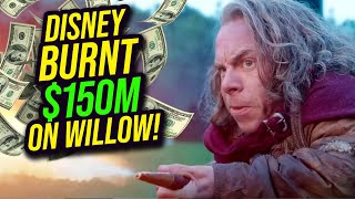 Willow Lost Disney WAY MORE Money Than We Thought...