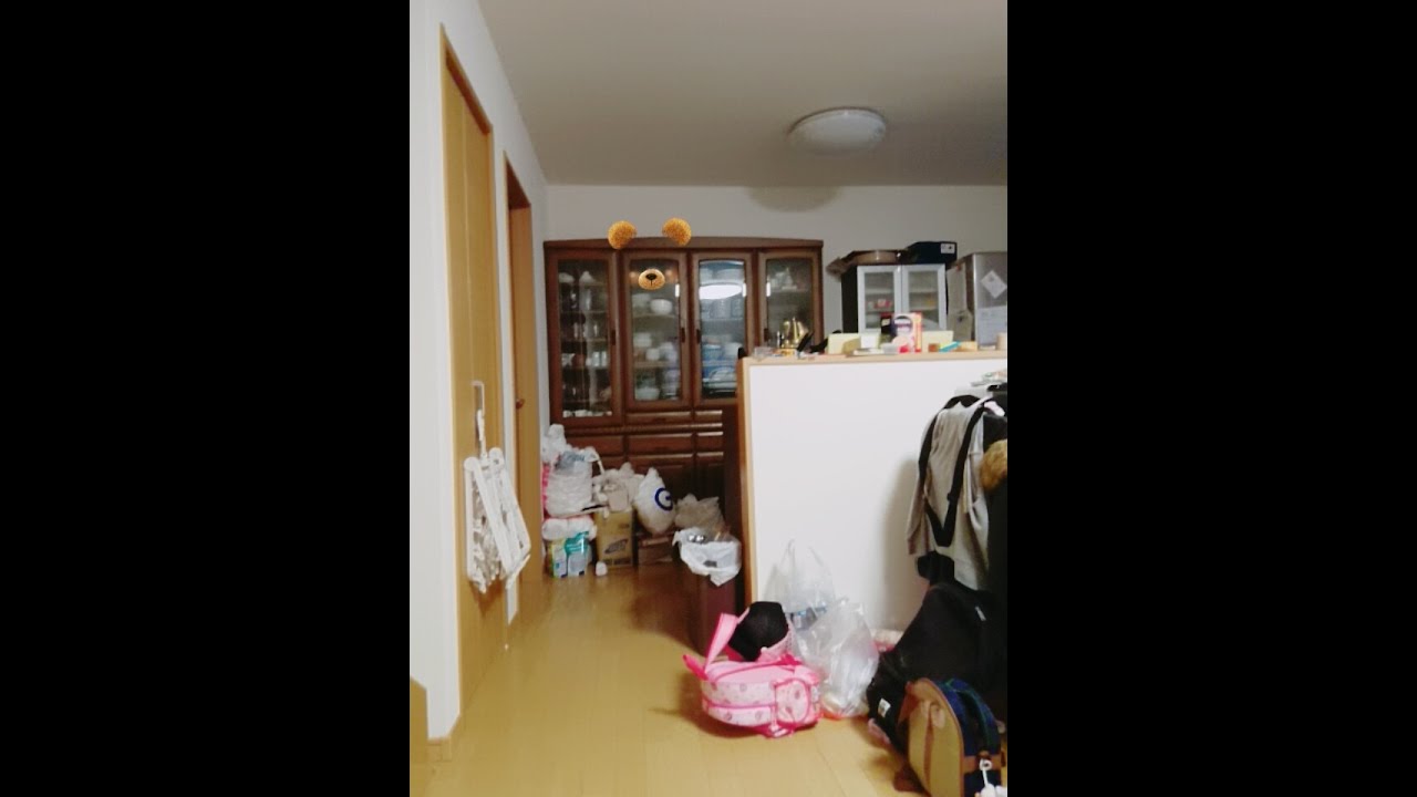 心霊動画 Snowが顔じゃない所に反応した Youtube