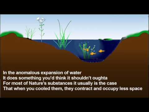 Anomalous Expansion Of Water 118