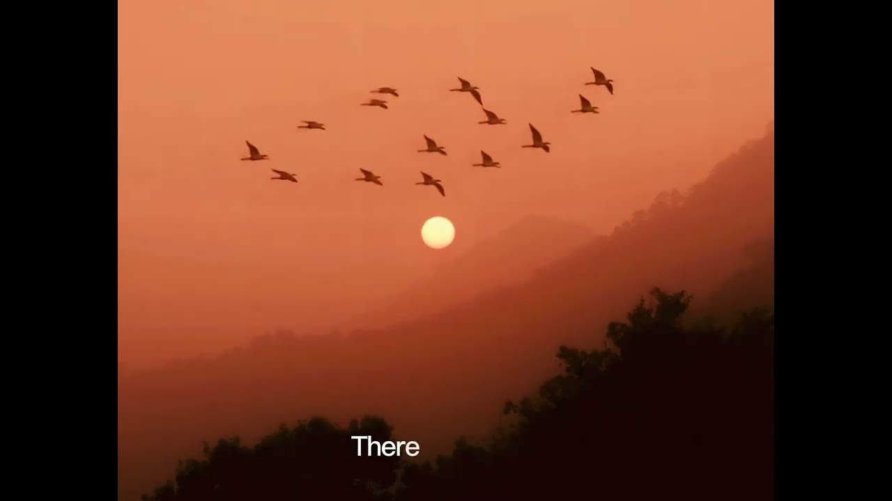 s4my - There She Goes (Official Lyric Video)