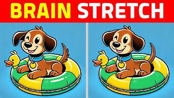 🏆Spot the Differences: Spot It Before Time Runs Out!! #259