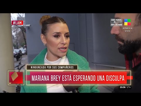 MARIANA BREY ESPERA una DISCULPA