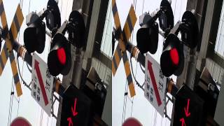 A walk is taken in morning Tokyo 3D 20120601 1