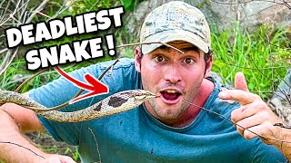 Catching One Of The  Deadliest Venomous Snakes In Africa !