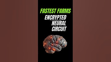 Fastest Encrypted Neural Circuit farm