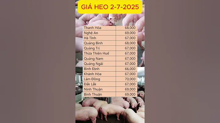 Giá heo hơi ngày hôm nay 2/7/2025 - giá heo 3 miền - giá cả thị trường - Giá heo-Rust Shorts