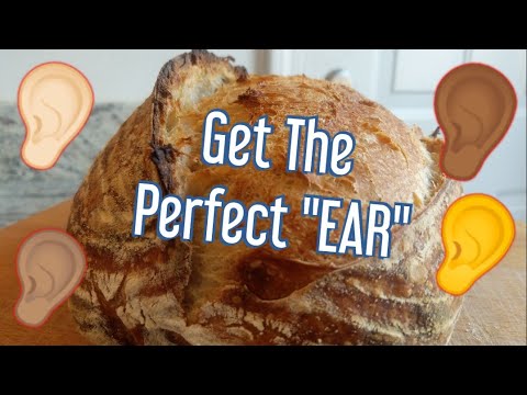 Video: Wat beteken oorbestande brood?